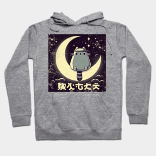 Kawaii Raccoon Moon Japanese Retro Hoodie